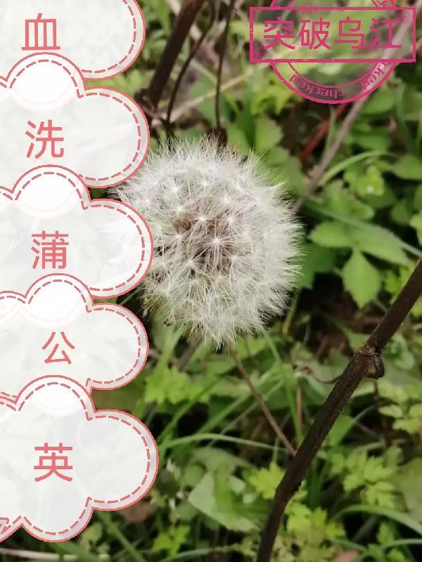 蚀骨危情、爹地妈咪又跑了