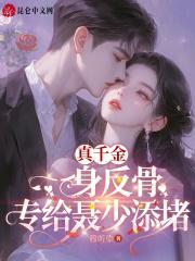施清陆城席免费阅读