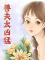 海贼的狂风镰鼬txt