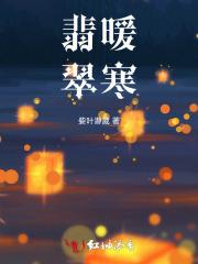 七十年代穿二代无防盗