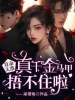 夏夜星空什么意思