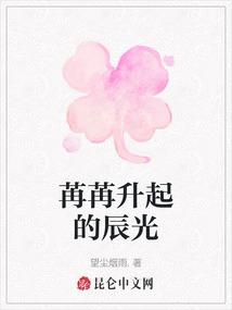 凤兄 辰冰免费续费