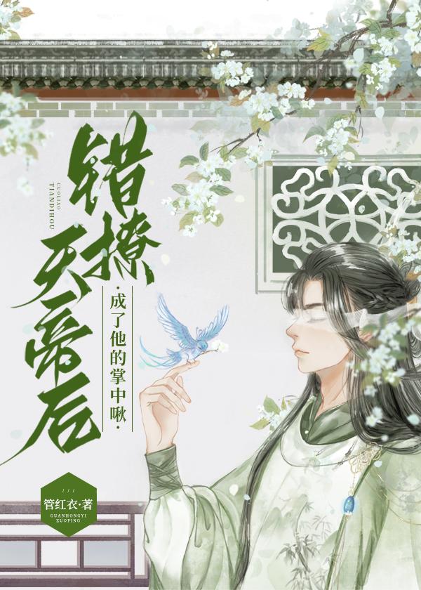 明末钢铁大亨无错