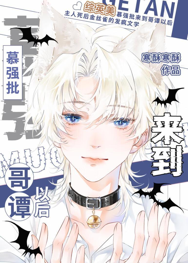 凤隐天下无弹窗