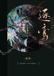 黑夜进化女主