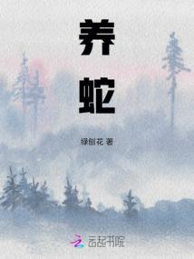 夫人改嫁了