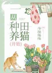 闪婚秦少宠妻