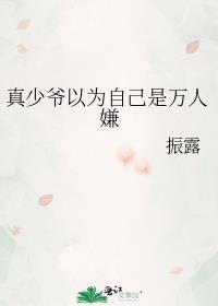 从出狱开始凌枫