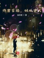 顾影身份