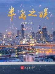 重度痴迷讲的什么