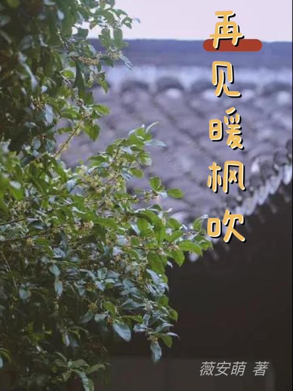 武途之颠 无本之木