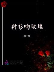 宿敌外传二之东风雪铁龙番茄