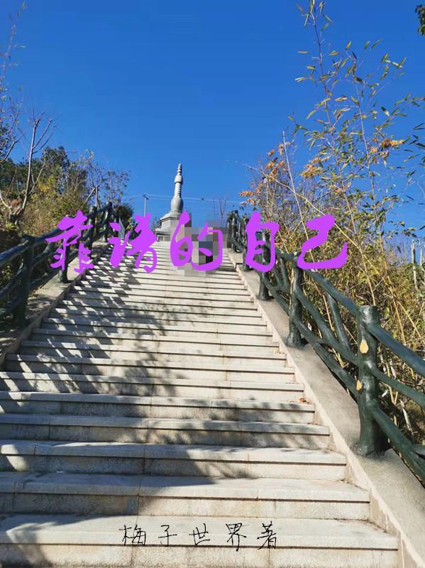 亿万闪婚神秘老公超厉害免费阅读全文