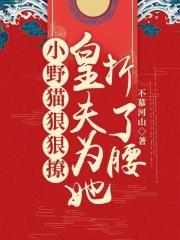 圈套男女简介