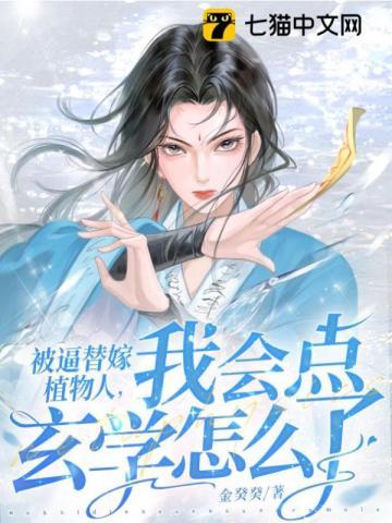 温知意沈宴全文