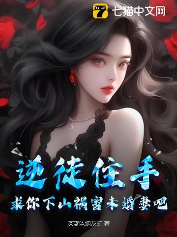 力挺小龙女txt