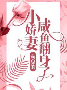 星界第三纪元类型