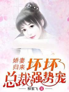星际带娃手札