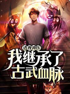 清穿之哲皇贵妃作者月月