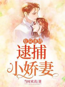 袖中美人讲的什么