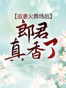 潮汐的回响电视剧在线观看