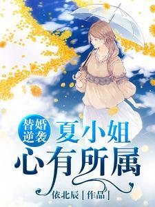 海贼草帽团里的机械师TXT