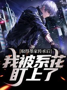 海贼草帽团里的机械师