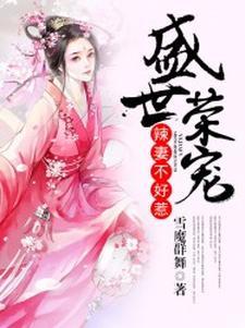 海贼草帽团里的机械师是谁