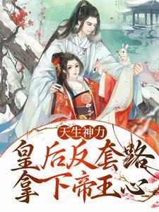 漫威的黑暗骑士可可配果盘