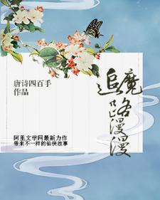 上海半叶数字科技有限公司怎么样