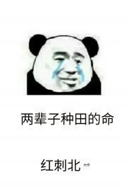 人仙武道体系