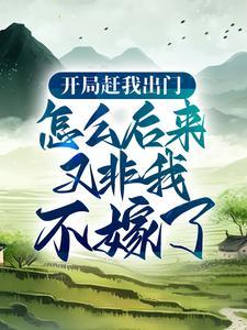 路飞换钱是哪一集
