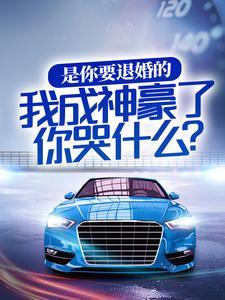报告