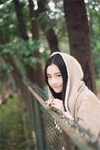 红苏木是什么木