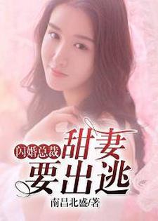 狼性总裁娇宠妻txt