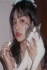 阎神医王免费阅读