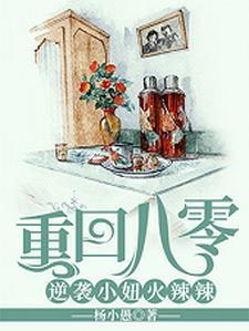 窃宋江山_