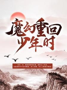 小夫人