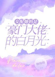 夫人宠翻天