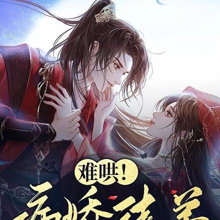 傅尘川沈清词
