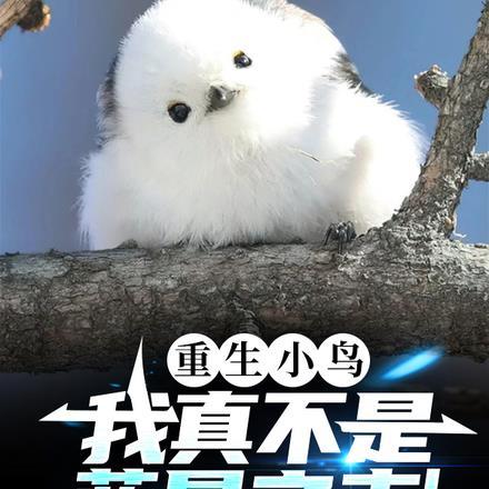 斗破之我真是魂殿中人笔趣阁