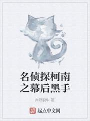 戍守边疆的将军叫啥