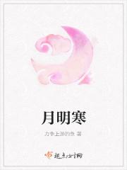 我的alpha有双重人格晋江