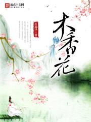 朝光什么意思