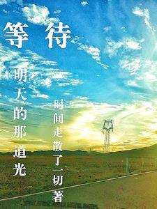 极品全能医仙杨天磊免费阅读