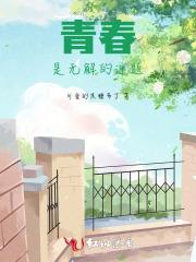 仕途情缘手游