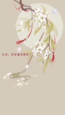 野王大佬求我的女装小号和他处CP已签约