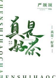 我在斗罗是史莱克学院的老师