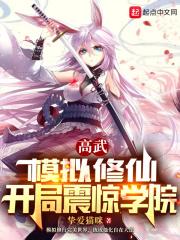 婚宠撩人冷少的挂名老婆