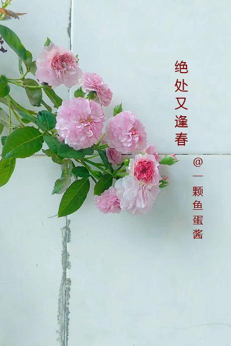 重回九零鉴宝发家